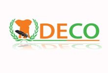 men deco.org – Direction des Examens et Concours