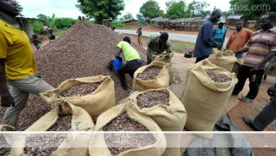 la Chine, nouvel eldorado pour le cacao ivoirien, révélations d’Adjoumani