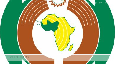 La Communauté économique des États de l'Afrique de l'Ouest (CEDEAO) : Promotion de la Coopération Régionale