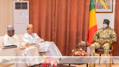 Les mesures du Niger pour resoudre la crise energetique au Mali