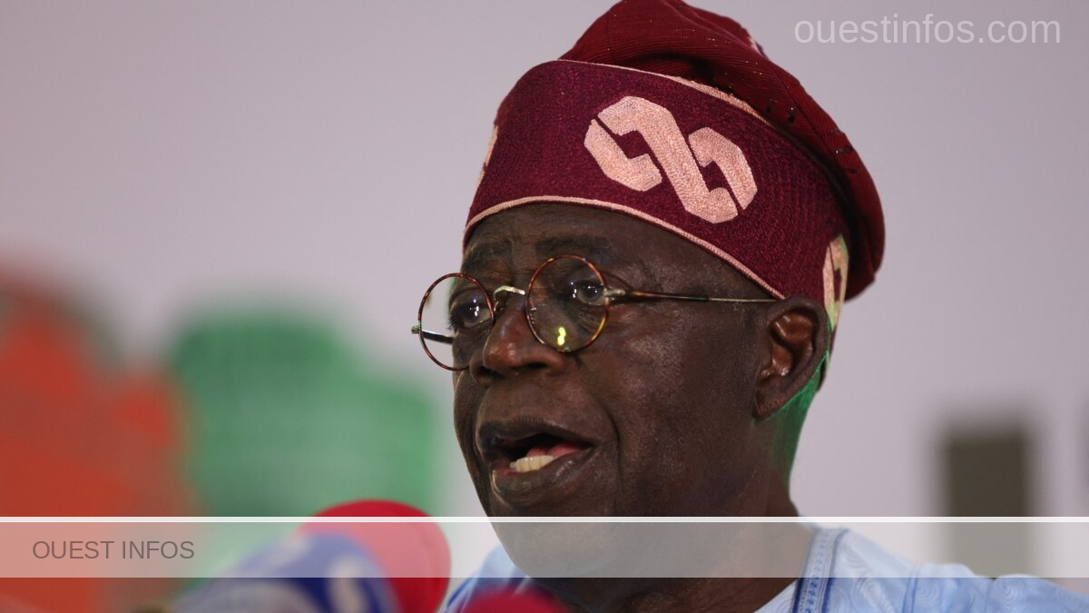 Parlement 40 deputes nigerians dont le president interimaire menaces de perdre leurs sieges